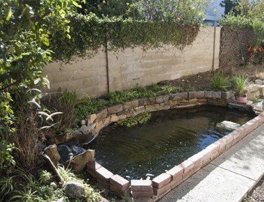 small outdoor pond