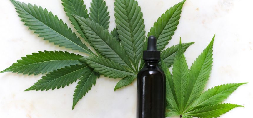 Cannabis Leaves With Bottle For Drops Of Essence