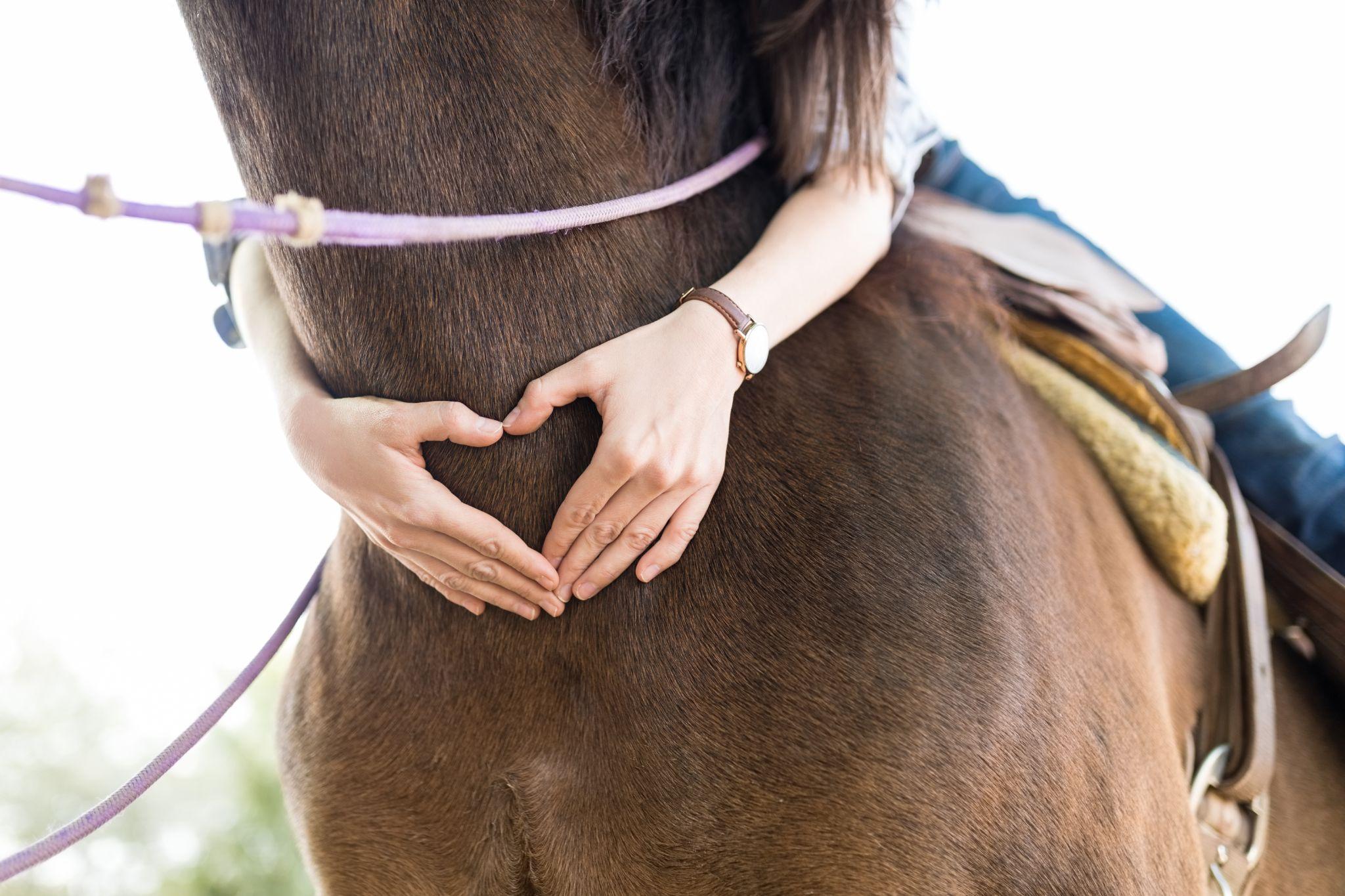 Hands of female rider forming heart shape on horse's body at ranch