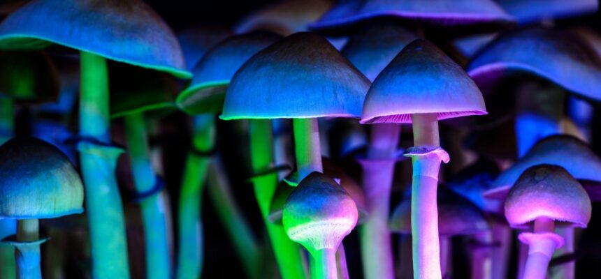 Magic Mushrooms With Green Blue Purple Lights