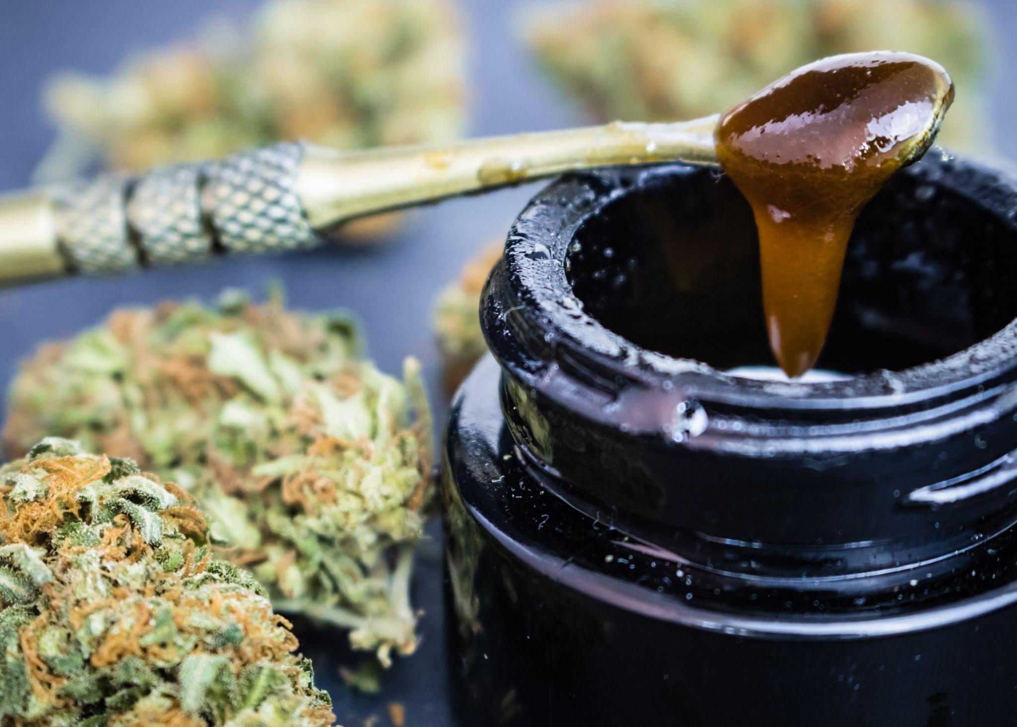Marijuana buds with THC/CBD oil extract on dab tool